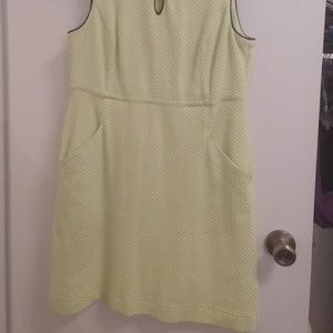 Petite Dress in Women